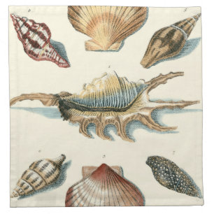 Fancy Shell Beach Napkin