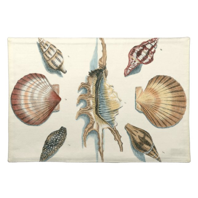 Fancy Shell Beach Placemat (Front)