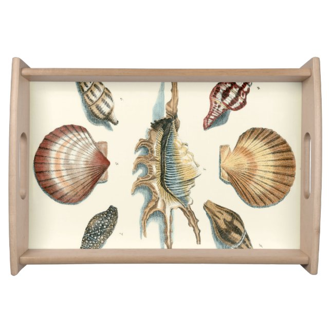 Fancy Shell Beach Serving Tray (Front)