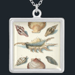 Fancy Shell Beach Silver Plated Necklace<br><div class="desc">George Wolfgang Knorr is known for the delicate detail and precision of his illustrations of shells and starfish. His drawings were influenced by his own interest in science,  a popular subject matter of his era.</div>