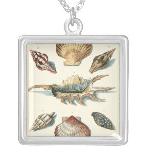 Fancy Shell Beach Silver Plated Necklace