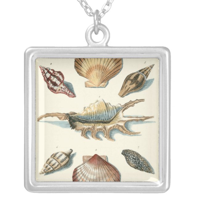 Fancy Shell Beach Silver Plated Necklace (Front)