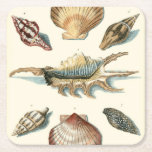 Fancy Shell Beach Square Paper Coaster