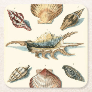 Fancy Shell Beach Square Paper Coaster