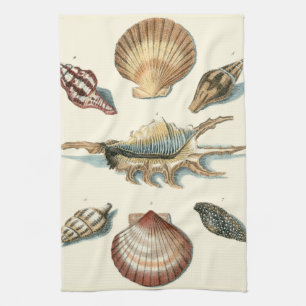 Fancy Shell Beach Towel