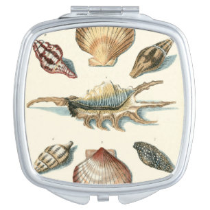 Fancy Shell Beach Vanity Mirror