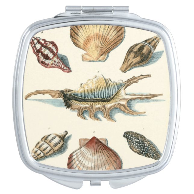 Fancy Shell Beach Vanity Mirror (Front)