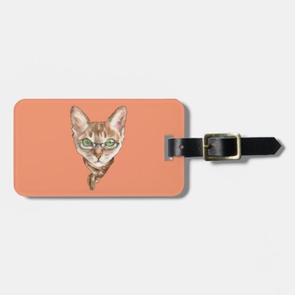 Fancy Sphynx Cat Lovers Decor Glasses Scarf Kitten Bag Tag