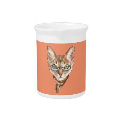 Fancy Sphynx Cat Lovers Decor Glasses Scarf Kitten Beverage Pitcher