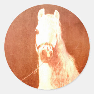 Fancy White Circus Pony Vintage Gypsy Style Classic Round Sticker