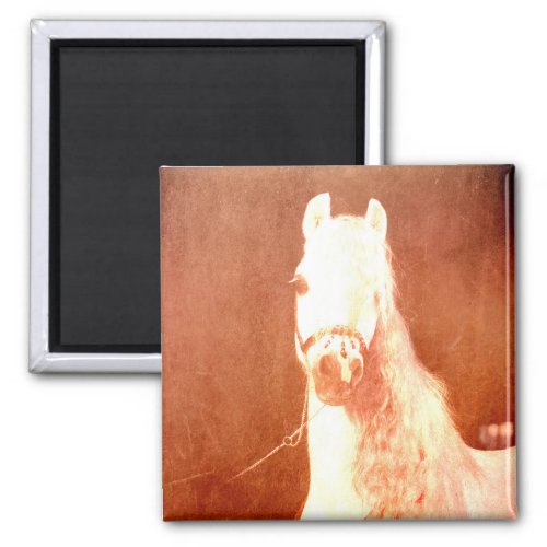 Fancy White Circus Pony Vintage Gypsy Style Magnet