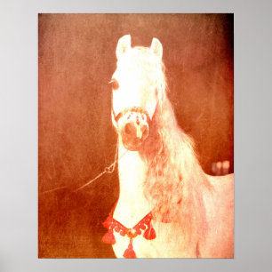 Fancy White Circus Pony Vintage Gypsy Style Poster