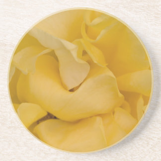 Fancy Yellow Rose  Drink Coaster