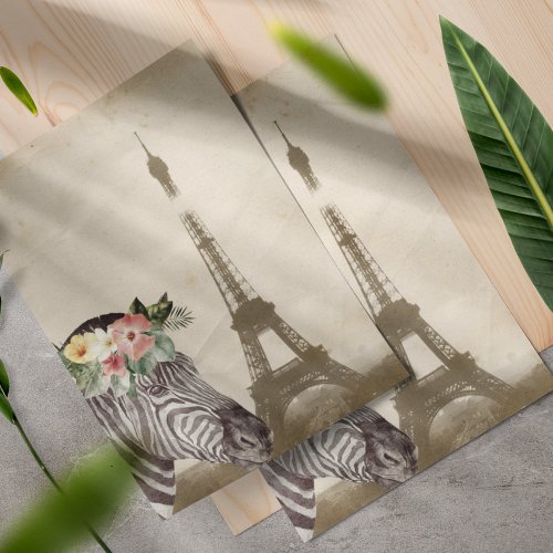 Fancy Zebra  Eiffel Tower Scrapbook