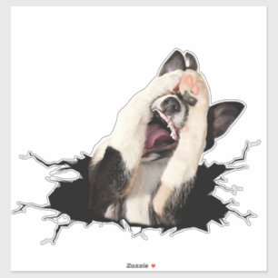 Fanny dog face sticker