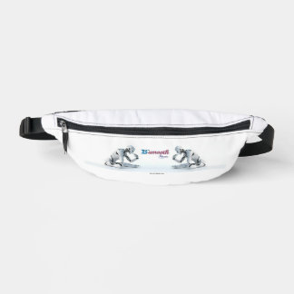 Fanny Pack