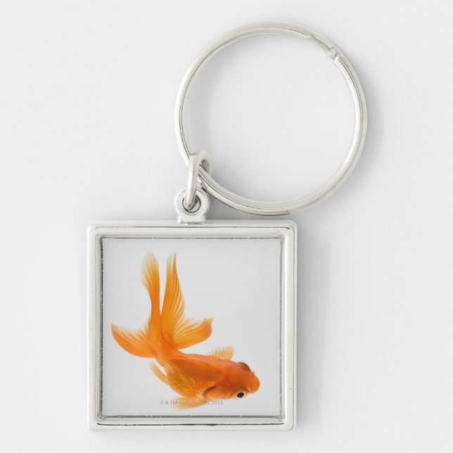 Fantail goldfish (Carassius auratus) 2 Keychain (Front)