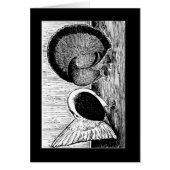 Fantail Pair (Front)