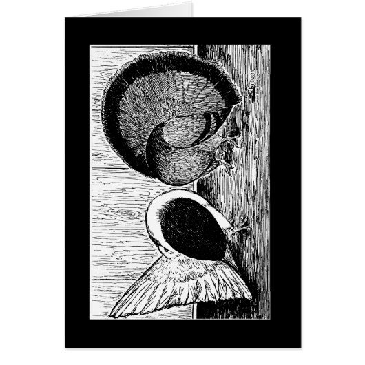 Fantail Pair (Front)