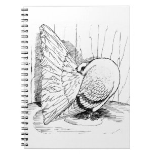 Fantail Pigeon 1978 Saddle Notebook
