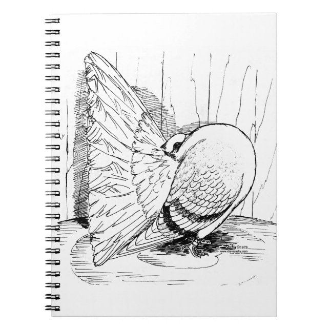 Fantail Pigeon 1978 Saddle Notebook (Front)