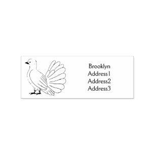 Fantail pigeon bird cartoon illustration  rubber stamp