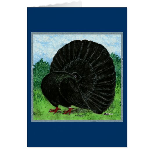 Fantail Pigeon Black Cards (Front)