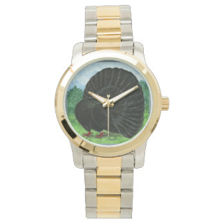 Fantail Pigeon Black Watch