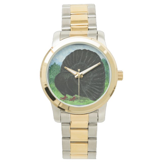 Fantail Pigeon Black Watch (Front)