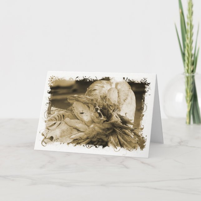 Fantail Pigeon Card (Front)