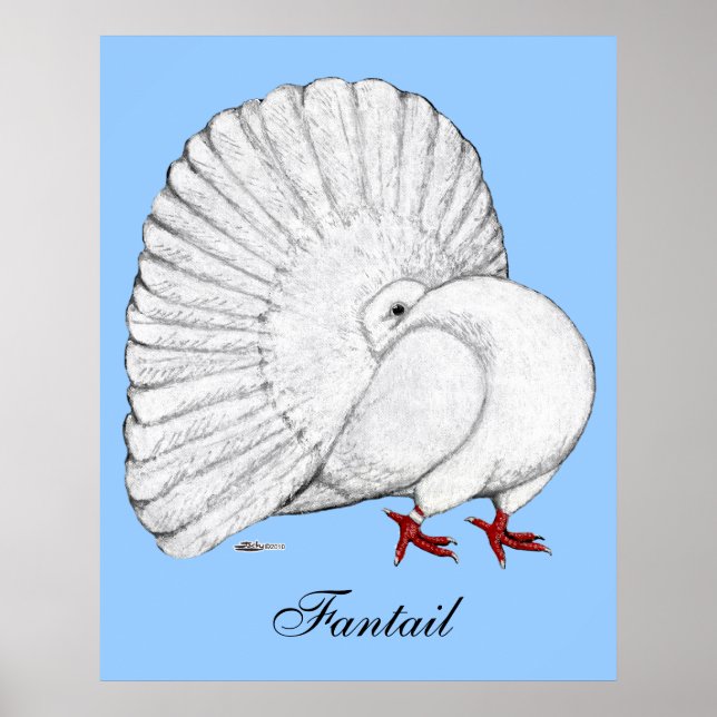 Fantail Pigeon White Poster (Front)