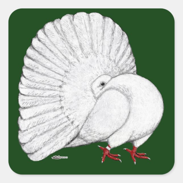 Fantail Pigeon White Square Sticker (Front)
