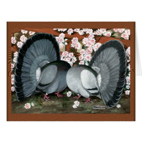 Fantail Pigeons Matched Pair