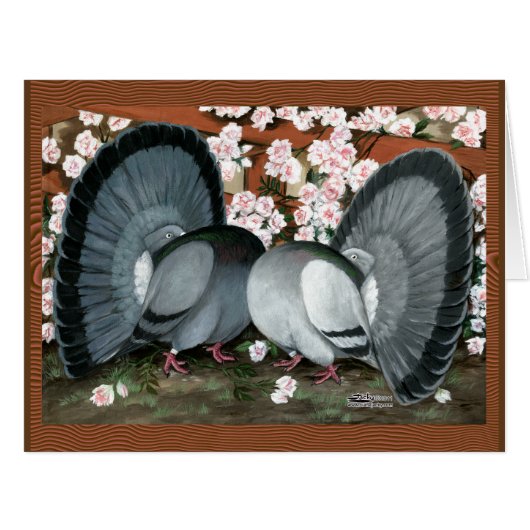 Fantail Pigeons Matched Pair Cards (Front Horizontal)