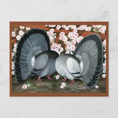 Fantail Pigeons Matched Pair Postcard
