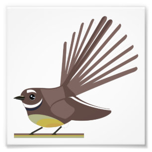 Fantail piwakawaka NZ BIRD Photo Print