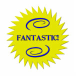Fantastic Cutout<br><div class="desc">The word "fantastic" on a yellow sunburst background.  Feel free to add your own words,  pictures and background color to this design via Zazzle's great customization tools.</div>