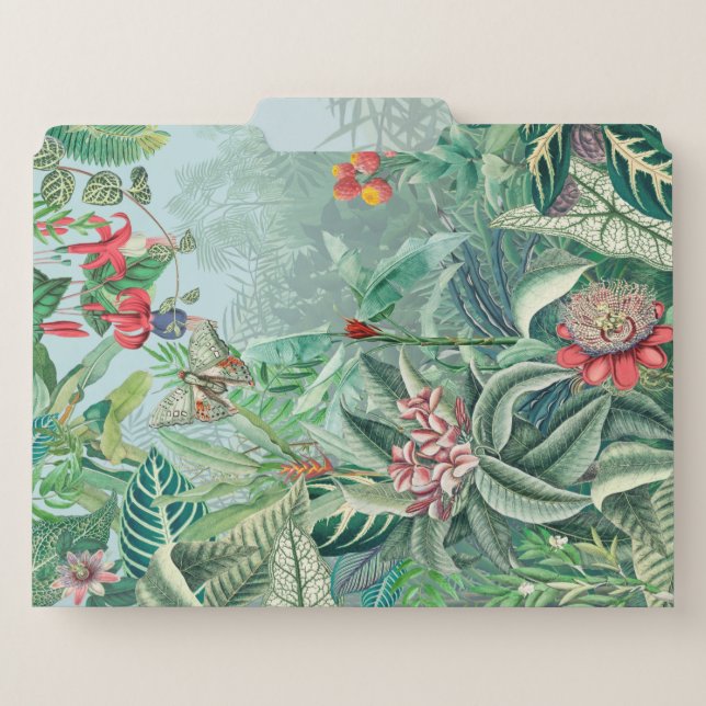 Fantastic Fabulous Tropics Rainforest File Folder (Front Center)