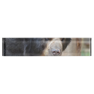Fantastic Face of a Black Bear Desk Name Plate