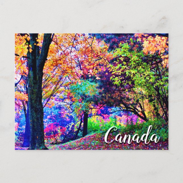 Fantastic Fall Colors Autumn Leaves Trees Scenic Postcard (Front)