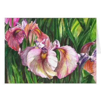 Fantastic group Iris Cards