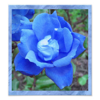 Fantasy Blue Rose Digital Print Wall Art