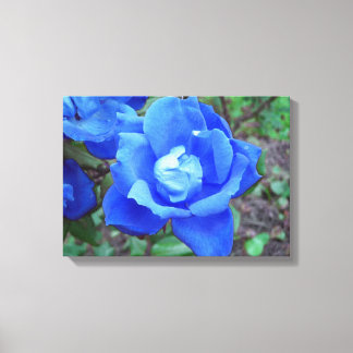 Fantasy Blue Rose Stretched Canvas Wall Decor