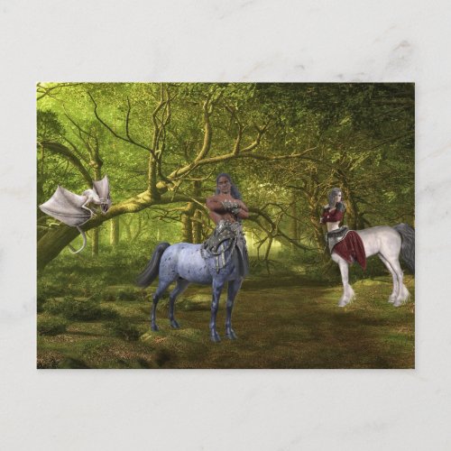 Fantasy Centaur and Dragon Postcard
