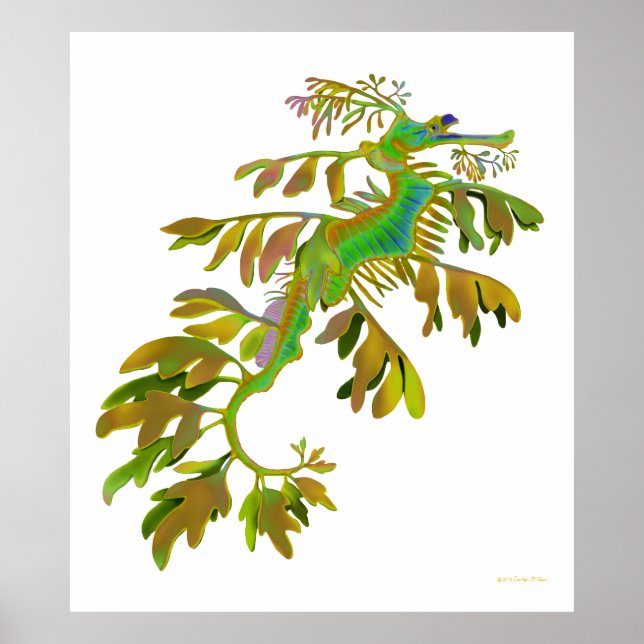 Fantasy Colored Leafy Sea Dragon Poster (Front)
