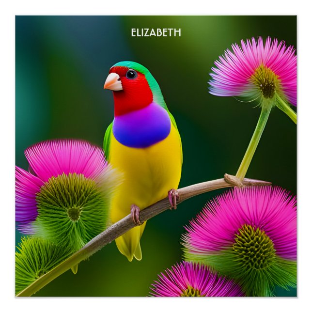 Fantasy Colorful Gouldian Finch Poster (Front)