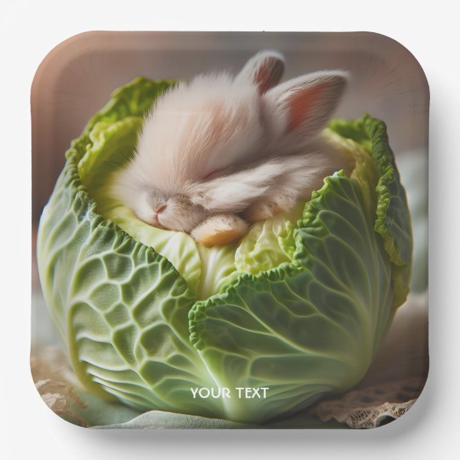 Fantasy Cute Baby Bunny Cabbage Paper Plates (Front)