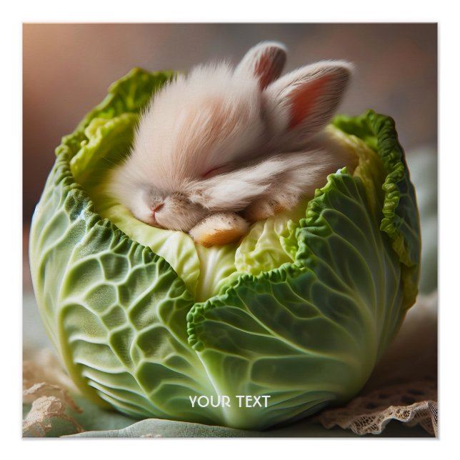 Fantasy Cute Baby Bunny Cabbage Poster (Front)