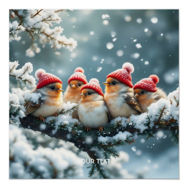 Fantasy Cute  Birds Hat Snow Poster (Front)