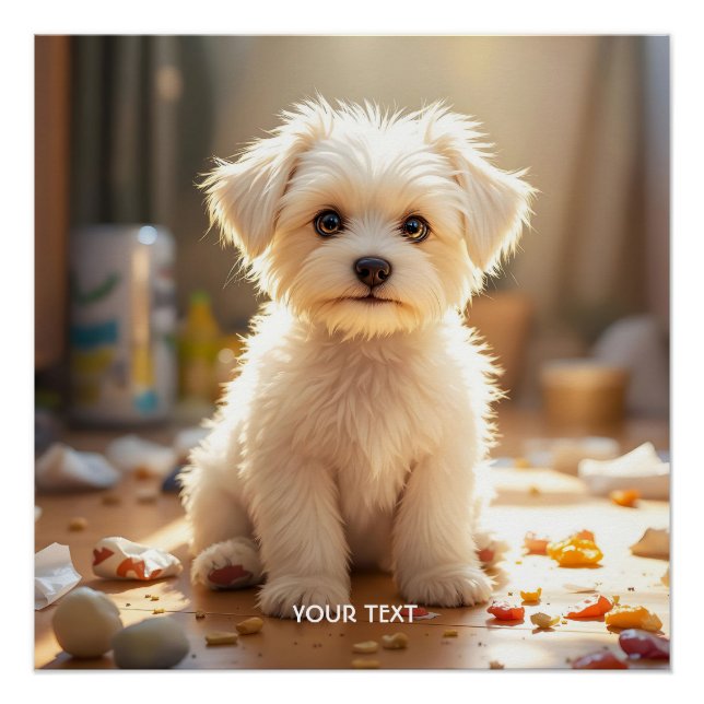 Fantasy Cute Happy Maltese Puppy Poster (Front)
